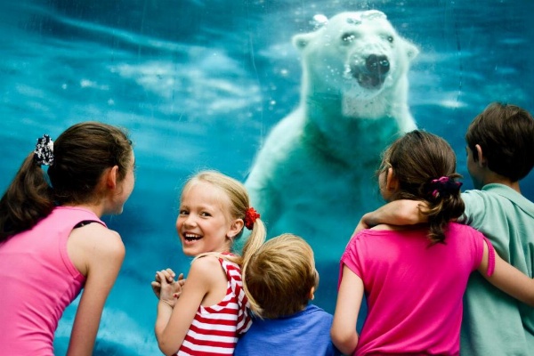 Auberge des Berges image 12