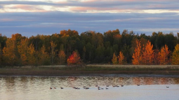 Auberge des Berges image 15